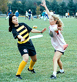 Hard at Work playing Frisbee.